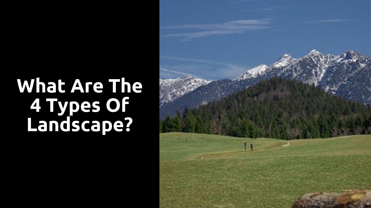 What are the 4 types of landscape?