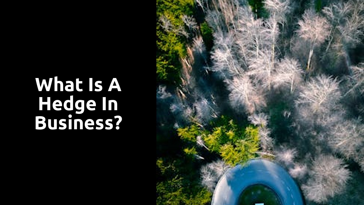 What is a hedge in business?