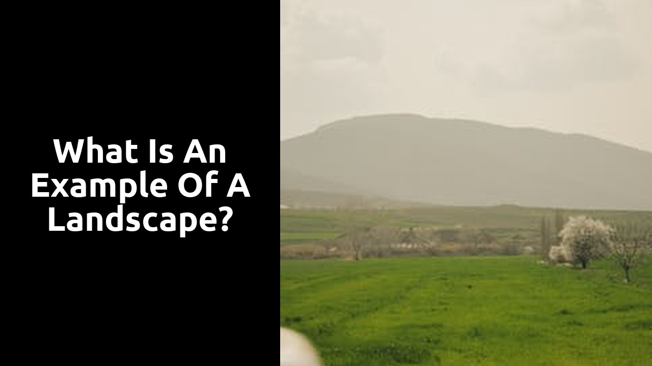 What is an example of a landscape?